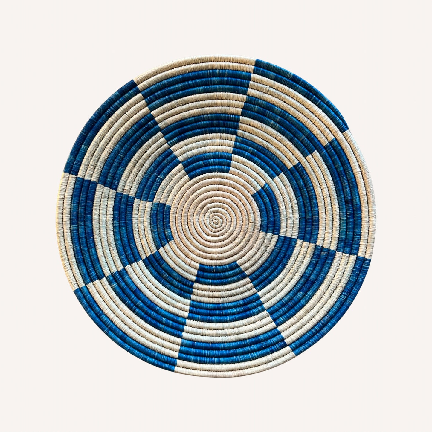 Check Basket in Blue