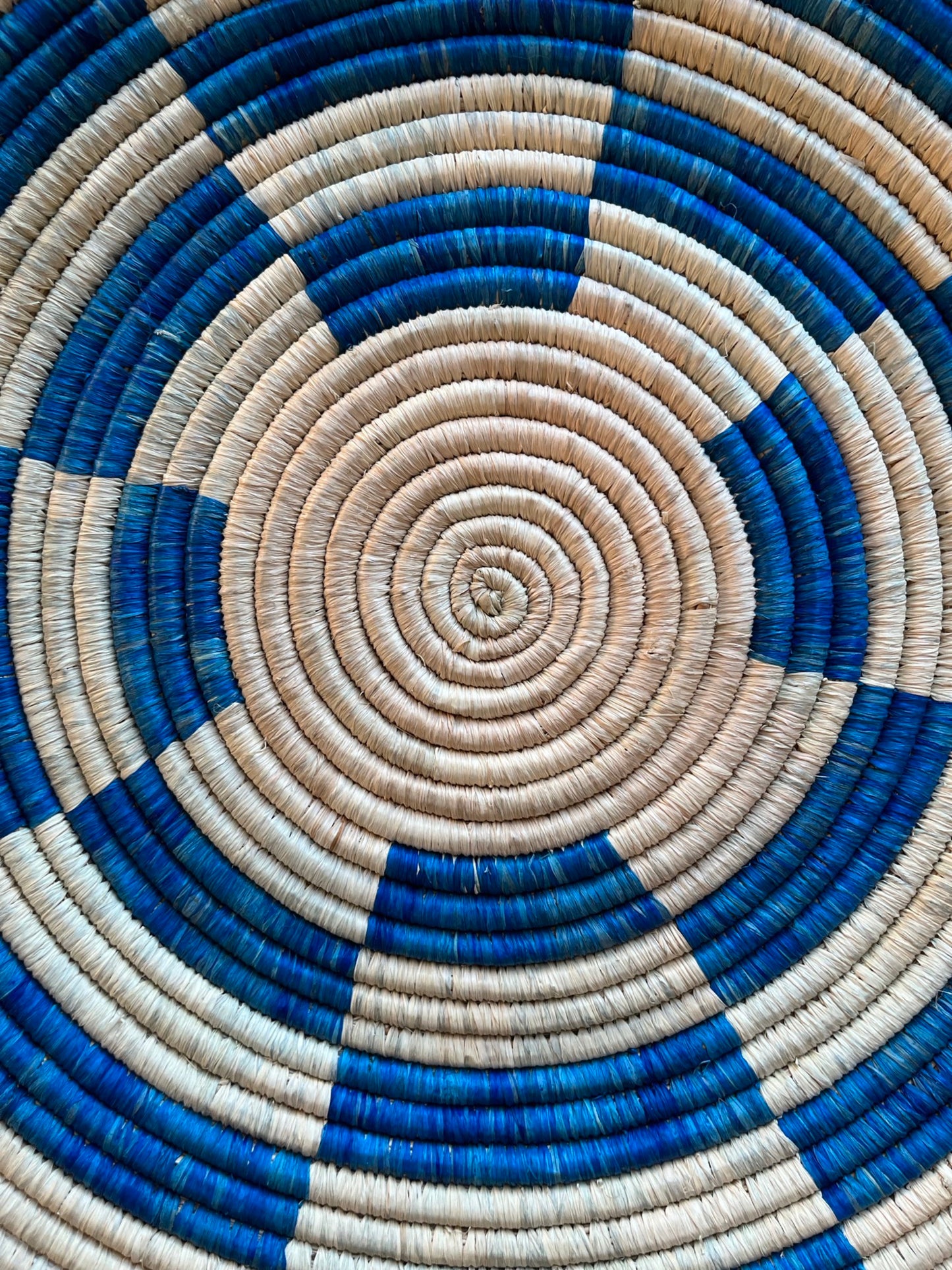 Check Basket in Blue