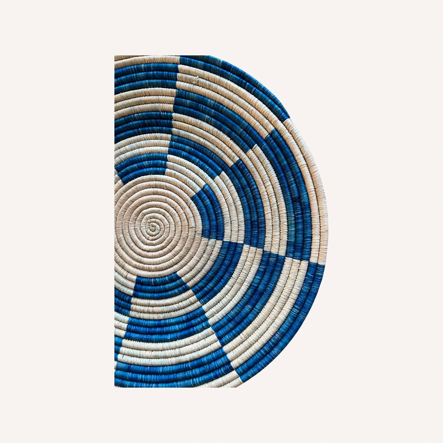 Check Basket in Blue