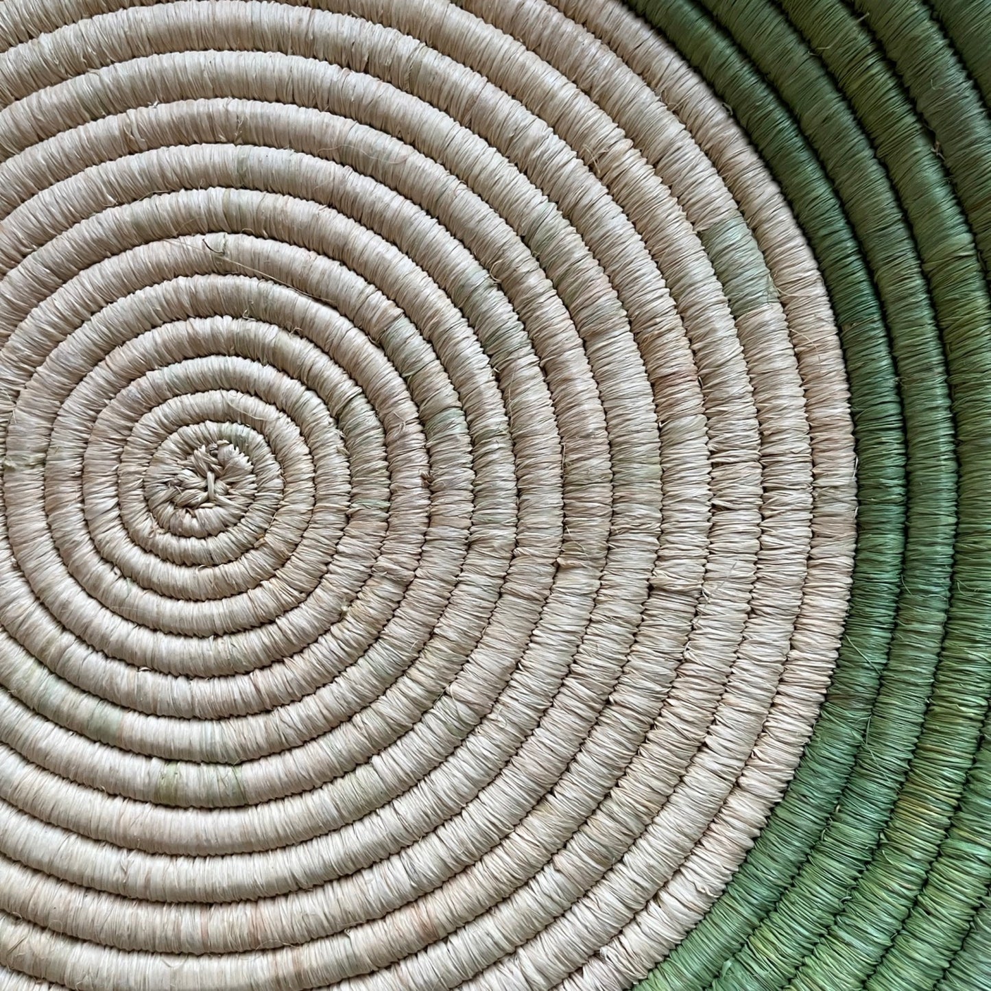 Half Moon Basket in Sage